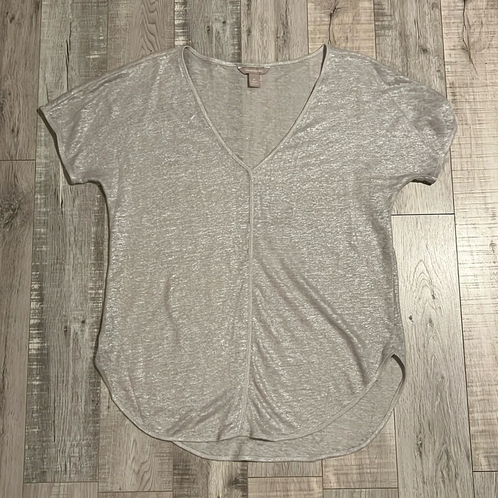 Banana Republic Silver Sheer V-Neck
